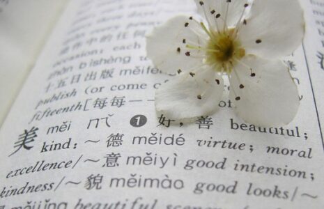 The Endangered Language List Image